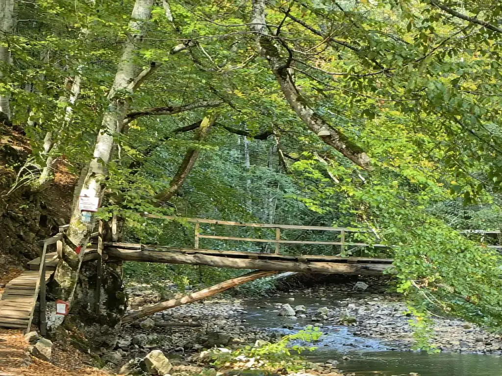 Cheile Vârghișului